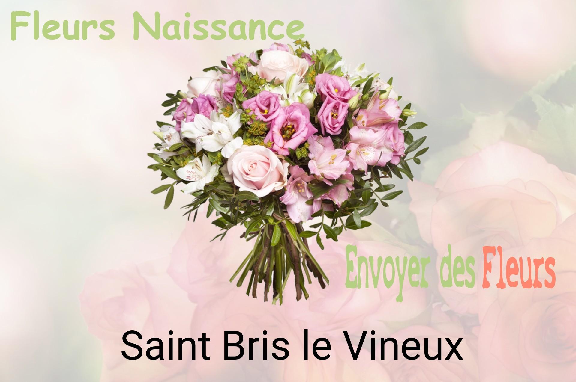 Bouquet de fleurs de naissance livré à Saint-Bris-le-Vineux