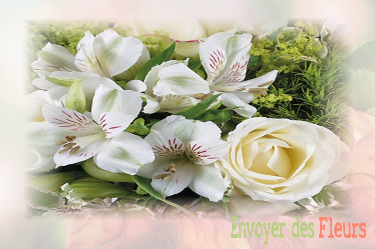 envoyer des fleurs à à SAINT-BRIS-LE-VINEUX